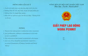 Vietnam Work Permit.jpg