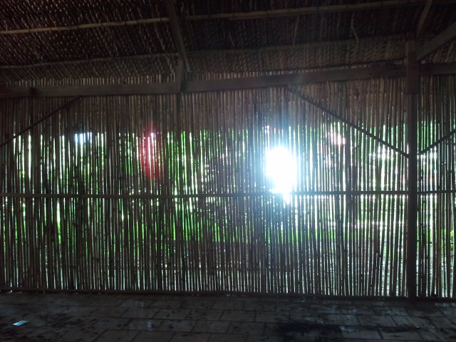 2012-07-25 12.50.41.jpg