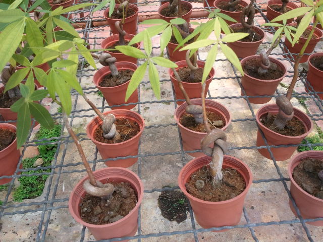2012-07-25 12.55.31.jpg