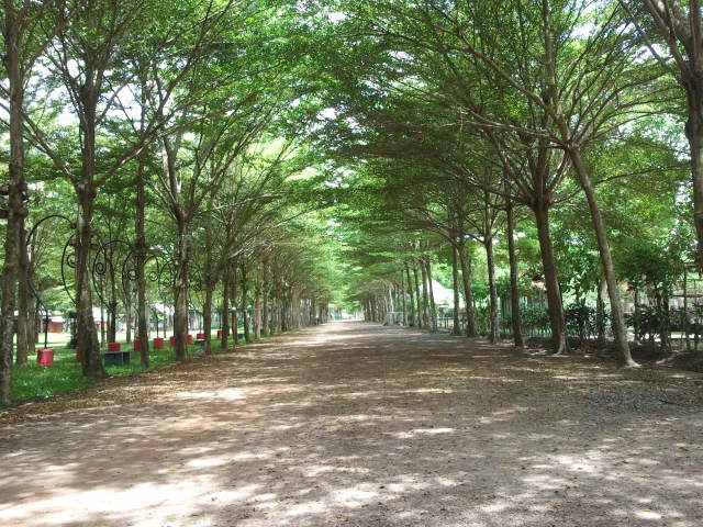 2012-07-25 12.43.44.jpg