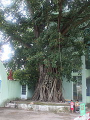 180PX-~1.jpg