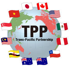 tpp.png