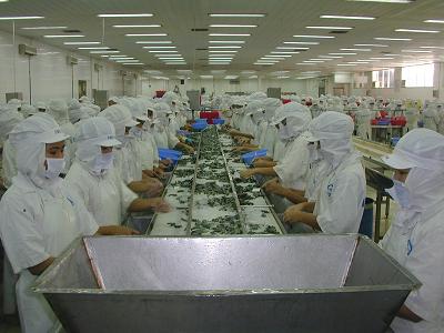 fishfactory.jpg