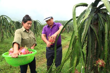 Thu nhập hàng năm của người dân nông thôn.jpg