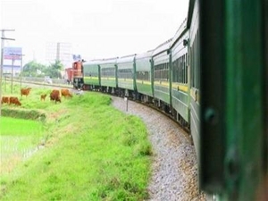 vn405023627.jpg