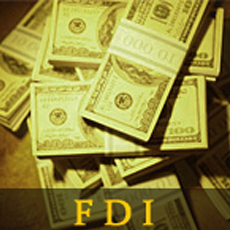 FDI1.jpg