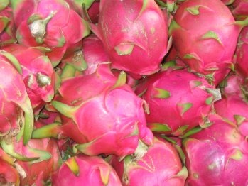 Dragon_fruit 05.jpg