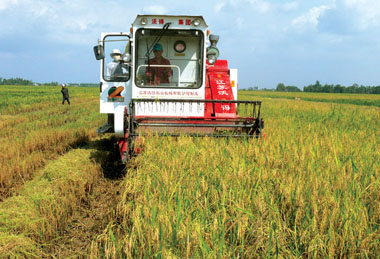 Cong_nghe_cao_1.jpg