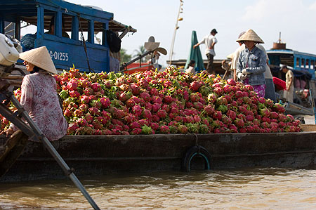 dragonfruit_boat.jpg