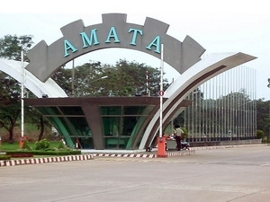 Amata.jpg
