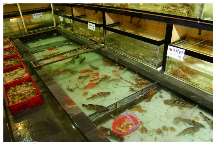 danang.jpg