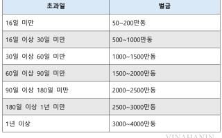 베트남, 외국인 신분증 미소지시 벌금, 초과 체류 벌금 대폭 인상
